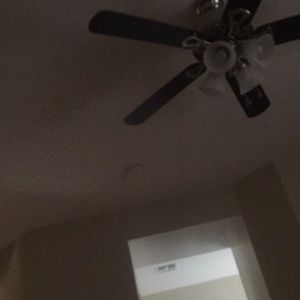 Meet your Posher, Bertha